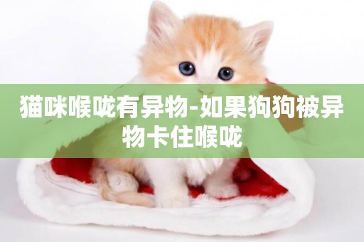 猫咪喉咙有异物-如果狗狗被异物卡住喉咙